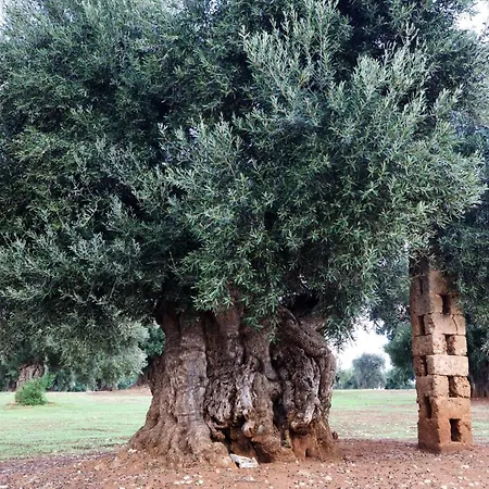 Masseria Mozzone ファザーノ