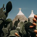 Masseria Mozzone Fasano