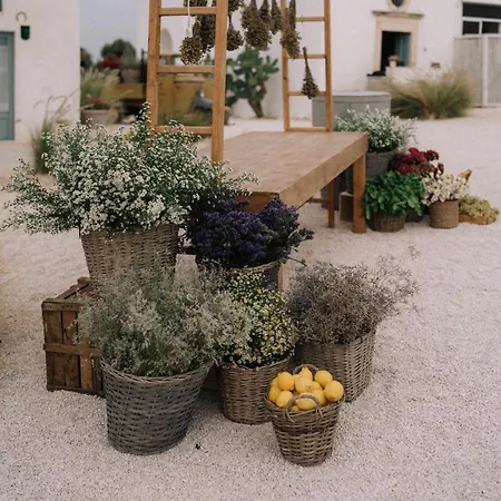 Masseria Mozzone