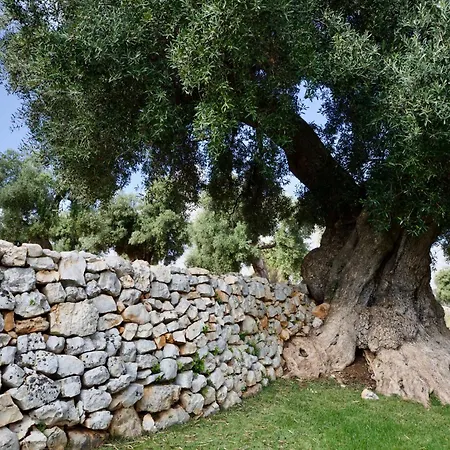 팜스테이 Masseria Mozzone *