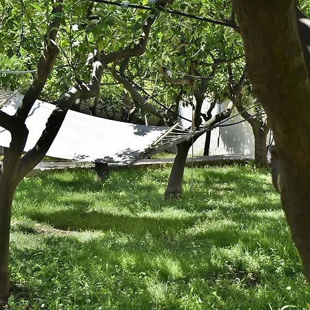 Farm stay Masseria Mozzone *