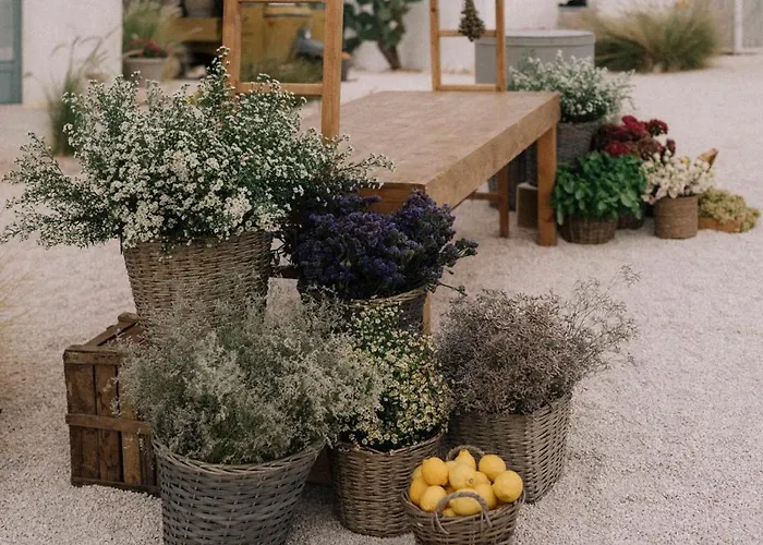 Masseria Mozzone